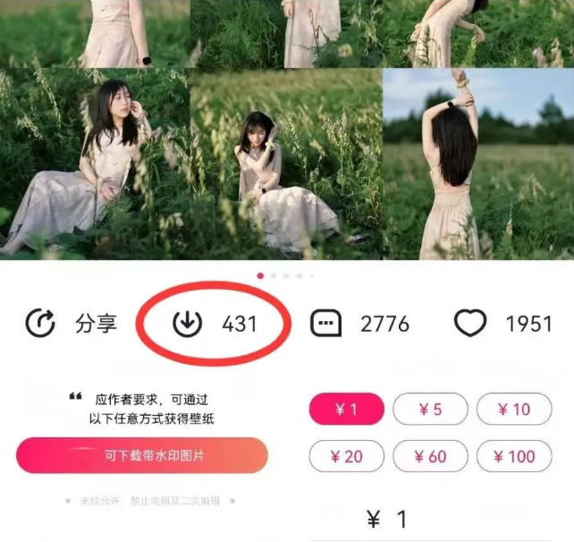 最新图虫搬运项目，收益无上限，利用AI小白也可日赚500+-shxbox省心宝盒