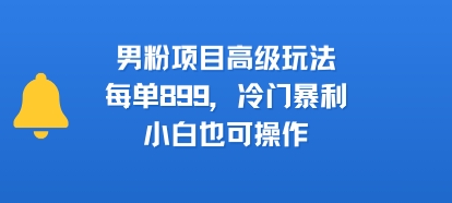男粉项目高级玩法，每单899，冷门暴利，小白也可操作-shxbox省心宝盒