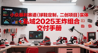 小众暴利赛道(球鞋定制，二创项目)实体+私域2025王炸组合  交付手册-shxbox省心宝盒