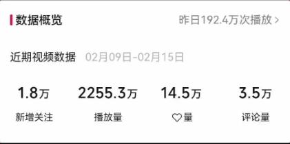 视频号最新100%原创玩法，收益稳定，单日收益1000+，小白专属-shxbox省心宝盒