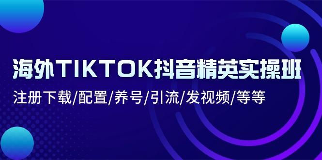 海外TIKTOK抖音精英实操班：注册下载/配置/养号/引流/发视频/等等-shxbox省心宝盒