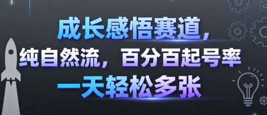 成长感悟赛道，纯自然流，百分百起号率 一天轻松多张-shxbox省心宝盒