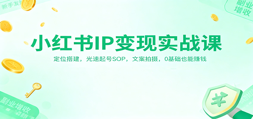小红书IP变现实战课：定位搭建，光速起号SOP，文案拍摄，0基础也能赚钱-shxbox省心宝盒