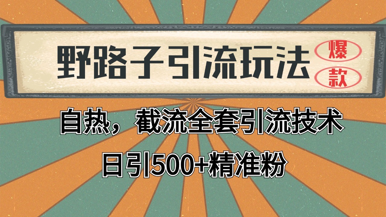 2024首发野路子引流玩法截流自热全平台打法，全自动引流【日引2000+精准客户】-shxbox省心宝盒