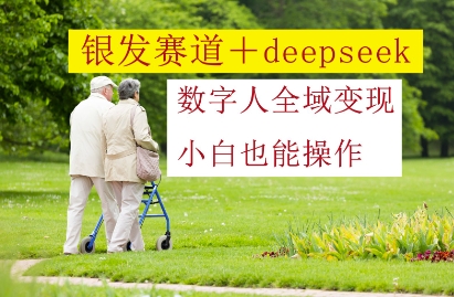 银发赛道+deepseek数字人全域变现，小白也能操作-shxbox省心宝盒