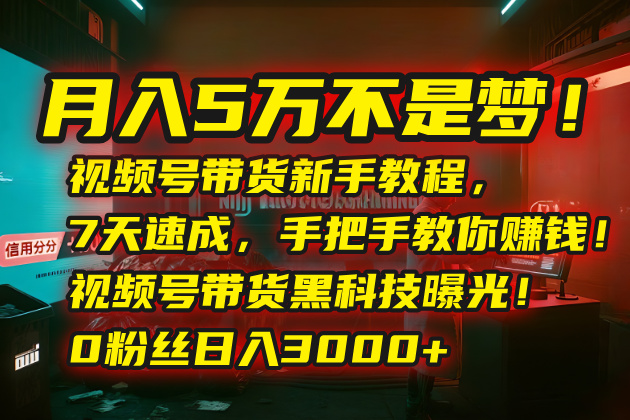 月入5万不是梦！视频号带货新手教程，7天速成，手把手教你赚钱！视频号...-shxbox省心宝盒