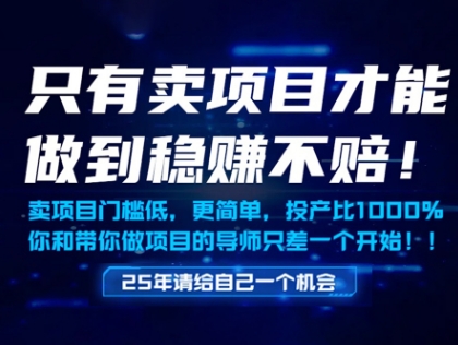 只有卖项目才能做到稳挣不赔，门槛低，更简单，你也可以年入百个W【揭秘】-shxbox省心宝盒