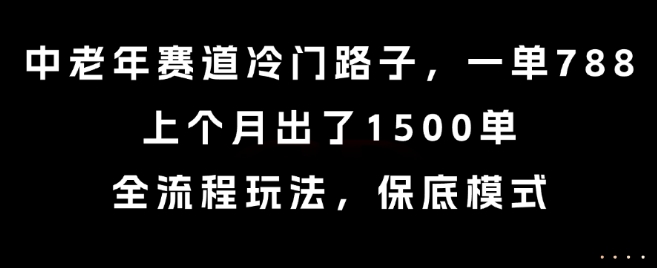 中老年赛道冷门路子，一单788，上个月出了1500单，全流程玩法，保底模式【揭秘】-shxbox省心宝盒