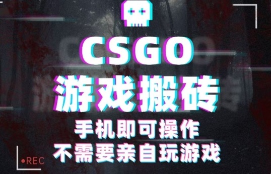 CSGO游戏挂G捡漏，单日扫货5张+，年底小高峰上车可吃肉，手机即可操作，兼职副业创业网创【揭秘】-shxbox省心宝盒