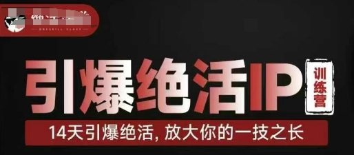 引爆绝活IP训练营，14天引爆绝活，放大你的一技之长-shxbox省心宝盒