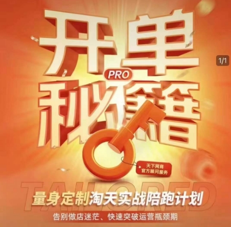 淘宝开单秘籍PRO，量身定制淘天实战陪跑计划，告别做店迷茫、快速突破运营瓶颈期-shxbox省心宝盒