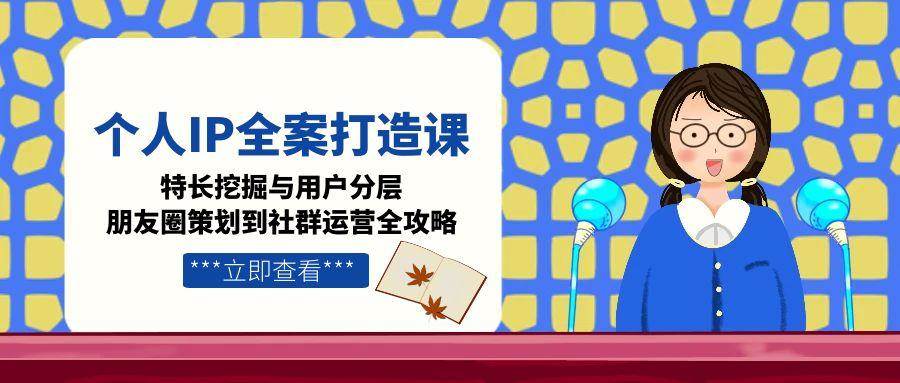 个人IP全案打造课，特长挖掘与用户分层，朋友圈策划到社群运营全攻略-shxbox省心宝盒