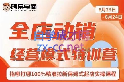 阿呆电商·全店动销经营模式特训营(线下录音+思维导图)-shxbox省心宝盒