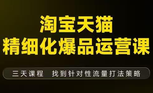 猫课子幽·淘宝天猫精细化爆品运营【音频+字幕+文档】(9月12-14杭州线下课)-shxbox省心宝盒