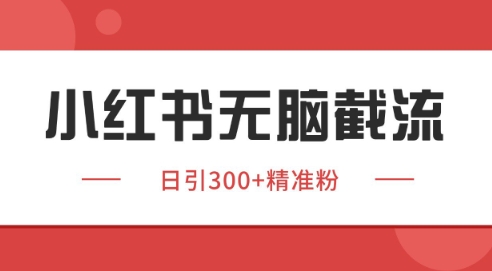 小红书截流同行客源，独家野路子获客玩法 日引200+暴力获客【揭秘】-shxbox省心宝盒