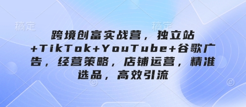 跨境创富实战营，独立站+TikTok+YouTube+谷歌广告，经营策略，店铺运营，精准选品，高效引流-shxbox省心宝盒