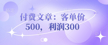 付费文章：客单价500，利润300-shxbox省心宝盒