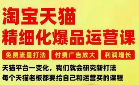 淘宝天猫精细化爆品运营课，免费流量打法-付费广告放大-利润增长-三大核心痛点，一次全部解决-shxbox省心宝盒