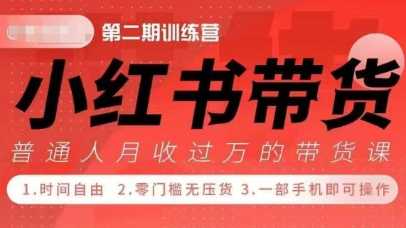 小Red书带货42天训练营 2.0版，宝妈+自由职+上班族+大学生，提高副业收入的大红利项目-shxbox省心宝盒