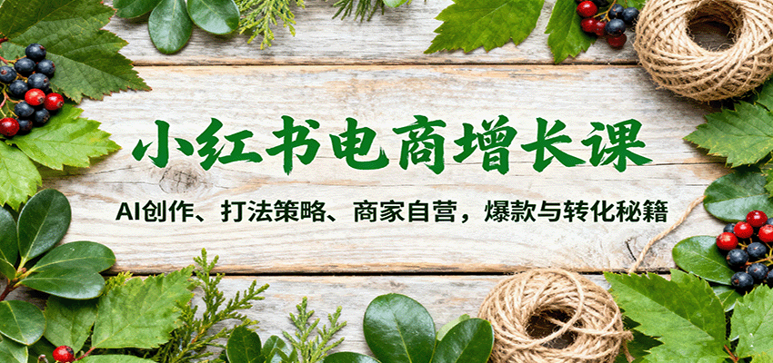 小红书电商增长课：AI创作、打法策略、商家自营，爆款与转化秘籍-shxbox省心宝盒