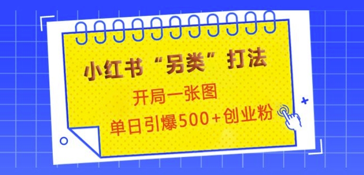 小红书“另类”打法，开局一张图，单日引爆500+精准创业粉【揭秘】-shxbox省心宝盒