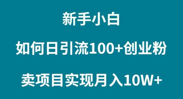 (9556期)新手小白如何通过卖项目实现月入10W+-shxbox省心宝盒