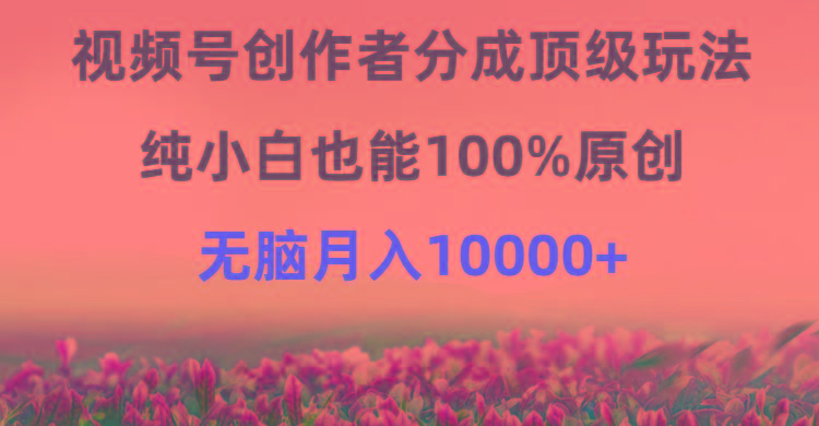 (9608期)视频号创作者分成顶级玩法，纯小白也能100%原创，无脑月入10000+-shxbox省心宝盒