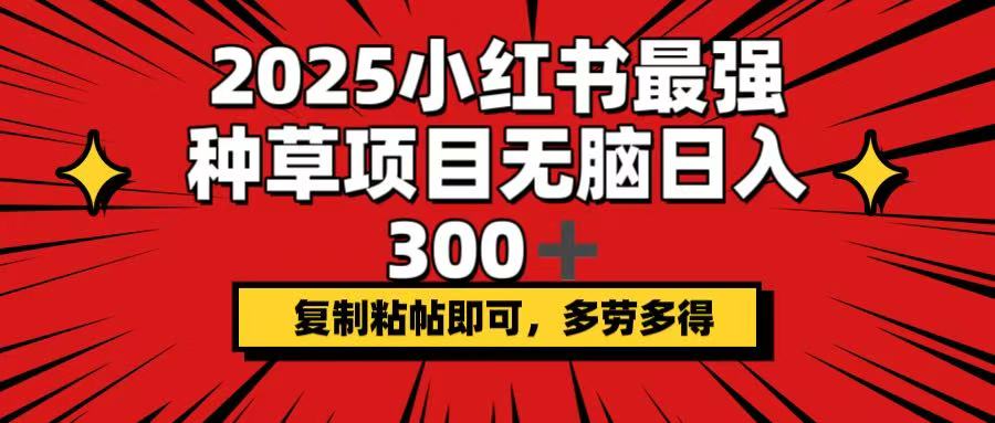 2025小红书最强种草项目，无脑日入300+，复制粘帖即可，多劳多得-shxbox省心宝盒