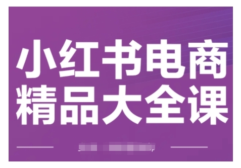 小红书电商精品大全课，快速掌握小红书运营技巧，实现精准引流与爆单目标，轻松玩转小红书电商(更新2月)-shxbox省心宝盒