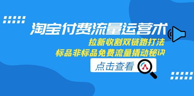淘宝付费流量运营术，拉新收割双链路打法，标品非标品免费流量撬动秘诀-shxbox省心宝盒