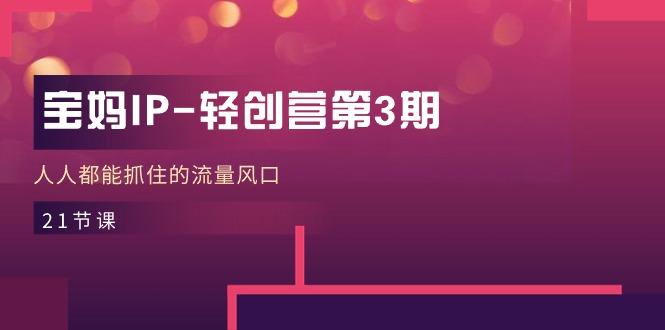 宝妈IP-轻创营第3期，人人都能抓住的流量风口(21节课-shxbox省心宝盒