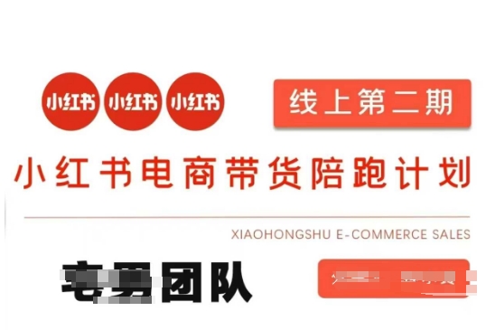 小红书电商带货课2期，月利润20个的小红书电商的有货源，无货源，虚拟产品，付费投流等整套玩法-shxbox省心宝盒