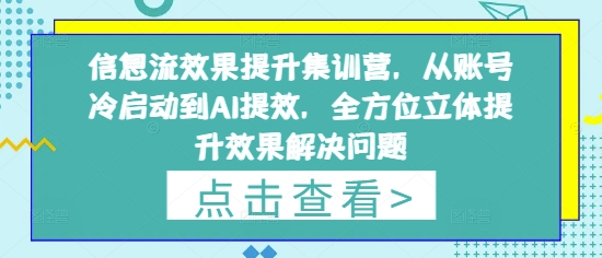 信息流效果提升集训营，从账号冷启动到AI提效，全方位立体提升效果解决问题-shxbox省心宝盒