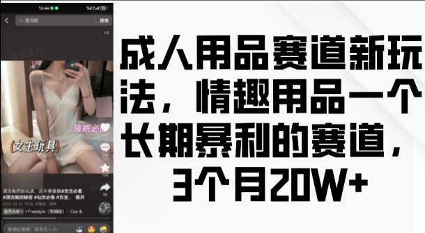 成人用品赛道新玩法，情趣用品一个长期暴利的赛道，3个月收益20个【揭秘】-shxbox省心宝盒