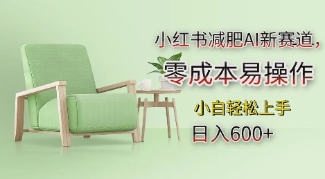 小红书减肥AI新赛道，零成本易操作，日入多张，小白轻松上手【揭秘】-shxbox省心宝盒