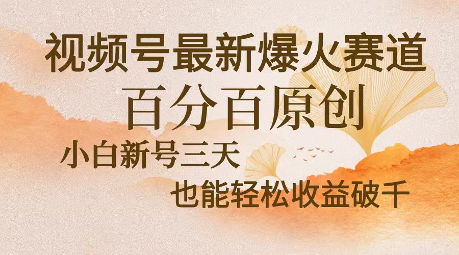视频号最新爆火赛道，中老年粉深信不疑，百分百原创，新号三天收益轻松...-shxbox省心宝盒