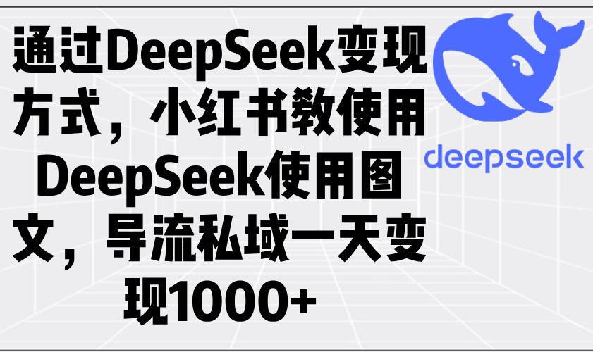 通过DeepSeek变现方式，小红书教使用DeepSeek图文，导流私域一天变现1000+-shxbox省心宝盒