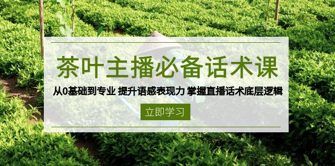 茶叶 主播必备话术课 从0基础到专业 提升语感表现力 掌握直播话术底层逻辑-shxbox省心宝盒