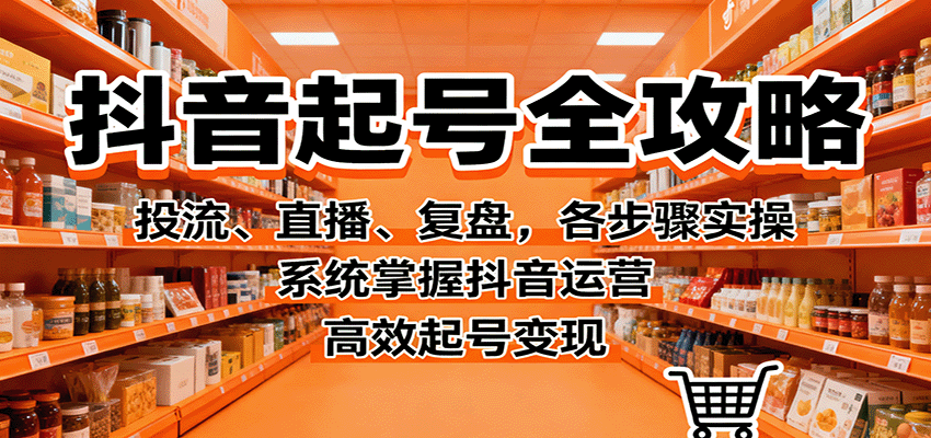 抖音起号全攻略，投流、直播、复盘，各步骤实操，系统掌握抖音运营，高效起号变现-shxbox省心宝盒