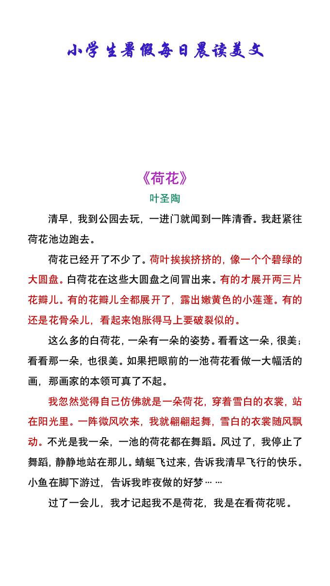 小学生暑假每日晨读美文：叶圣陶《荷花》-小升初语文-shxbox省心宝盒