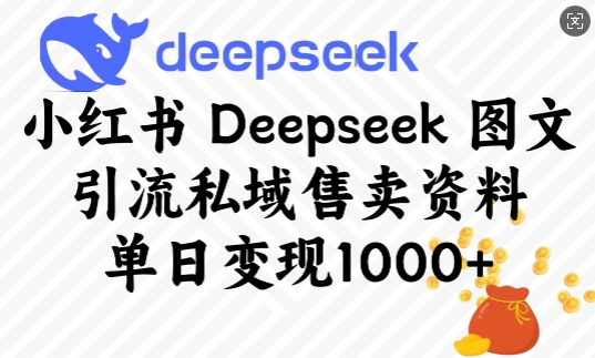 小红书Deepseek图文引流私域售卖资料，单日变现多张-shxbox省心宝盒