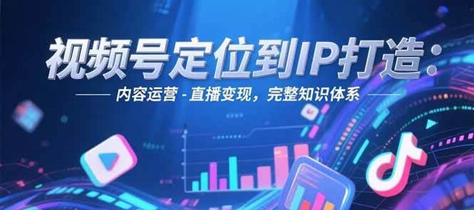 视频号定位到IP打造：账号搭建-内容运营-直播变现，完整知识体系-shxbox省心宝盒