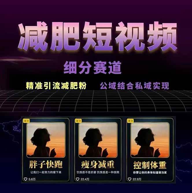 图片[2]-减肥短视频运营实战课：含素材制作、剪映教学，讲精准引流、变现设计与内容模板技巧-shxbox省心宝盒