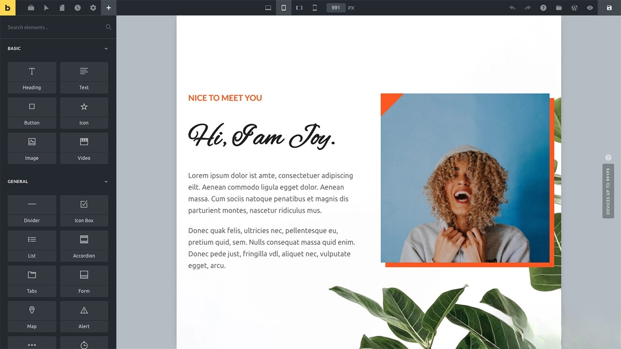 WordPress主题Bricks v1.9 破解版-shxbox省心宝盒