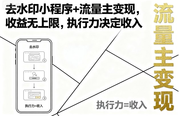 去水印小程序+流量主变现，收益无上限，执行力决定收入-shxbox省心宝盒