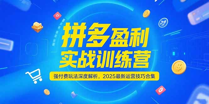 拼多多盈利实战训练营，强付费玩法深度解析，2025运营技巧合集-更新6月-shxbox省心宝盒
