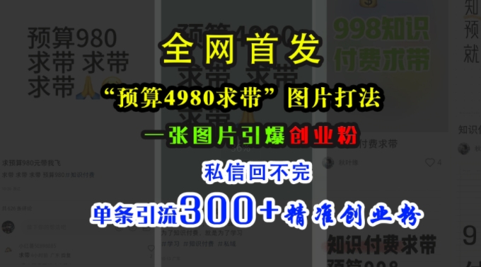小红书“预算4980带我飞”图片打法，一张图片引爆创业粉，私信回不完，单条引流300+精准创业粉-shxbox省心宝盒