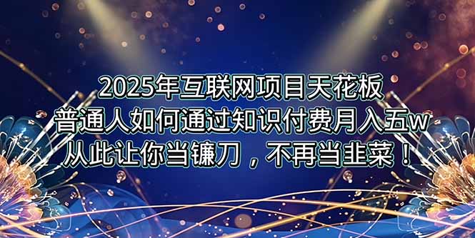 2025年互联网项目天花板，普通人如何通过卖项目实现逆风翻盘，月入5W＋！-shxbox省心宝盒