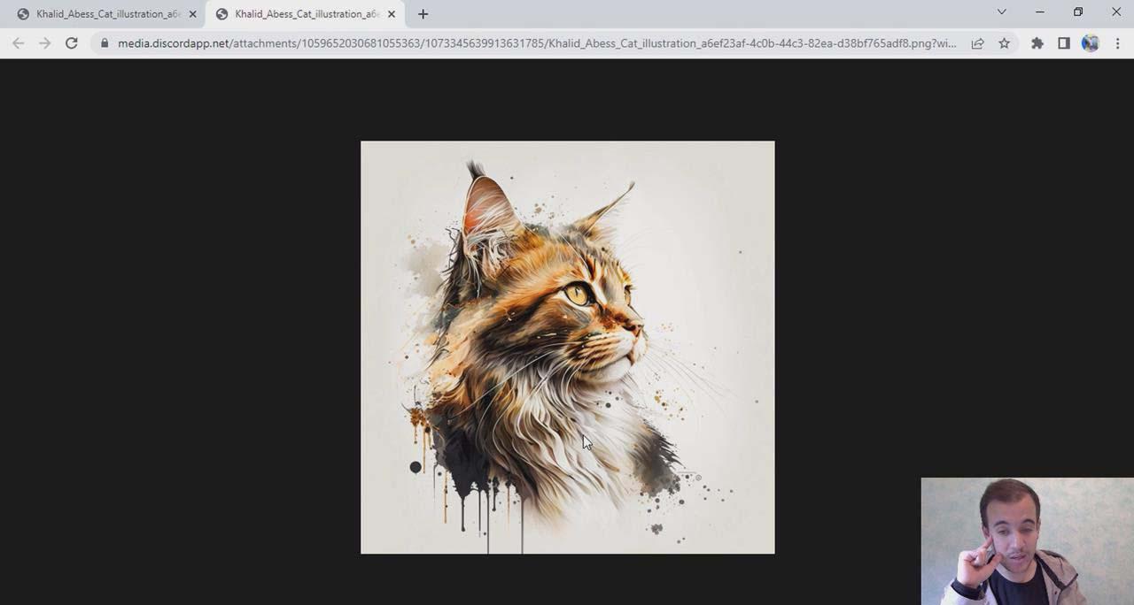 Midjourney 精通教程-使用Midjourney AI创建美丽艺术图像-36节课-中英字幕-shxbox省心宝盒