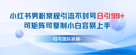 小红书男粉常规引流不封号日引99+变现简单 可矩阵可复制小白容易上手-shxbox省心宝盒